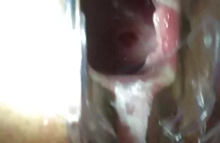 XXX مرغ قرمز موقتاً سكس مخفي عربي قبل از رابطه جنسی داغ ، دیک طولانی را مکیده است